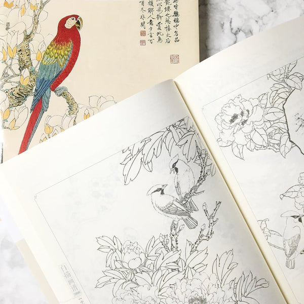 5000 Chinese Drawings of Animals