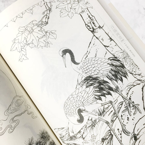5000 Chinese Drawings of Animals