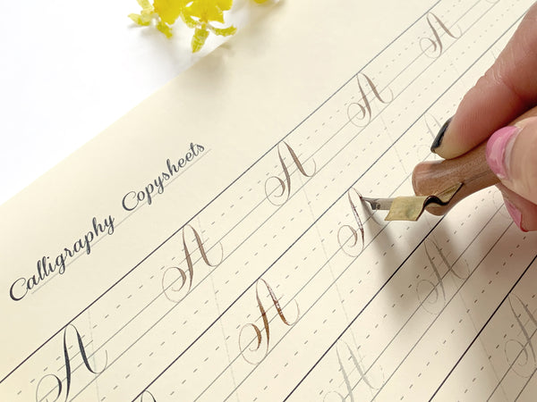 BEGINNER Calligraphy Copysheets - PRINTED