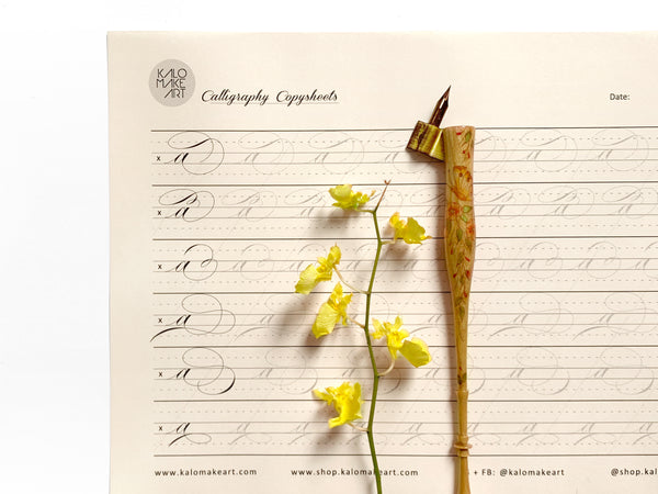FLOURISH LOWERCASE Calligraphy Copysheets - PRINTED
